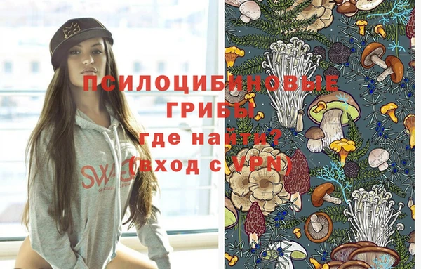 прущие крисы Костерёво