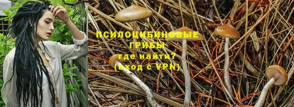 2c-b Коряжма