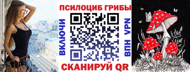 Галлюциногенные грибы Psilocybe  Купить где  Далматово 